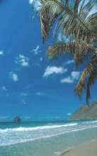 Martinique